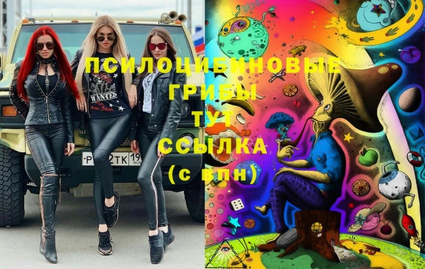 бошки Абинск