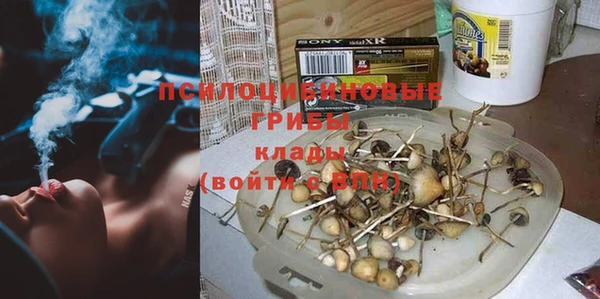 спайс Абаза